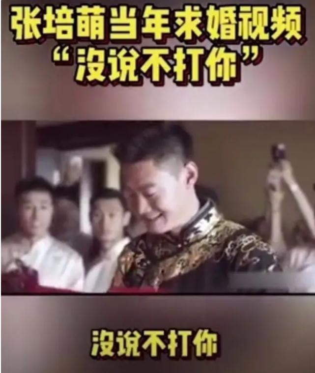 张培萌被家暴的视频,张培萌被家暴后续