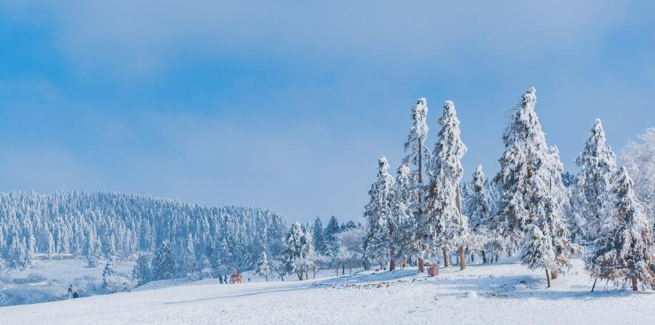 热腾腾麻辣火锅,8d魔幻山城重庆美食街