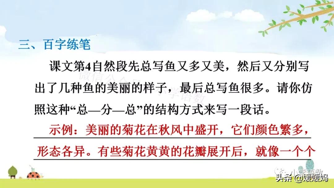 三年级第18课富饶的西沙群岛视频,三年级上册18富饶的西沙群岛笔记