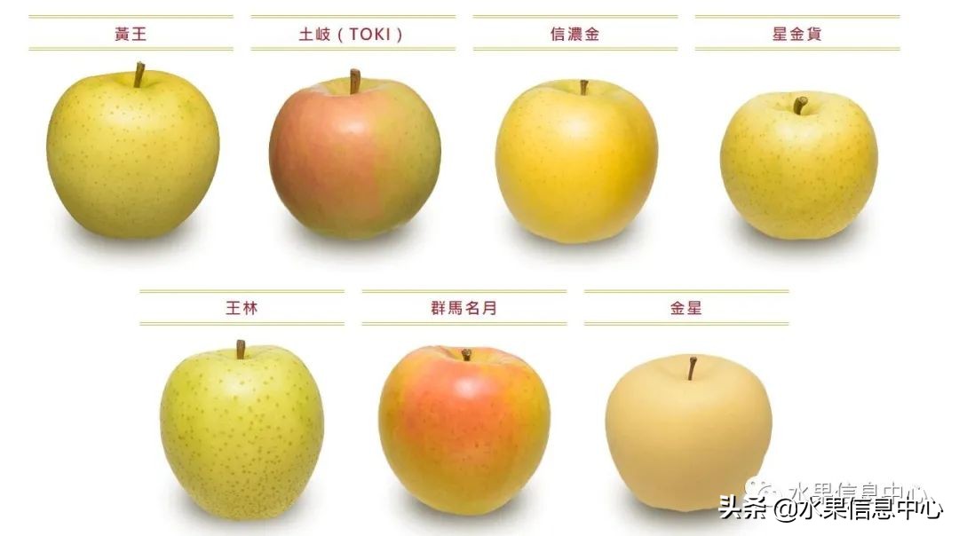 日本苹果种植现状,为什么日本苹果质量比中国的好