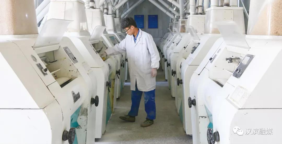 迎难而上再发力,迎难而上逆势前进