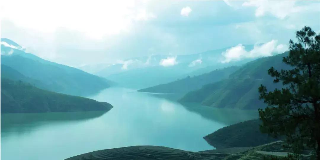 云南有什么名烟名酒名茶,2021年云南十大名茶排名