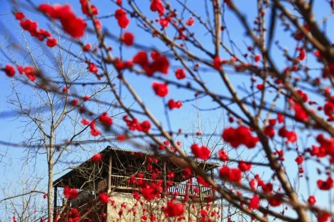 彭山景区活动购票,常德彭山景区游玩攻略图