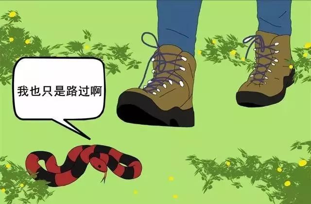 村民家中惊现2米长眼镜王蛇,近3米长眼镜王蛇出没
