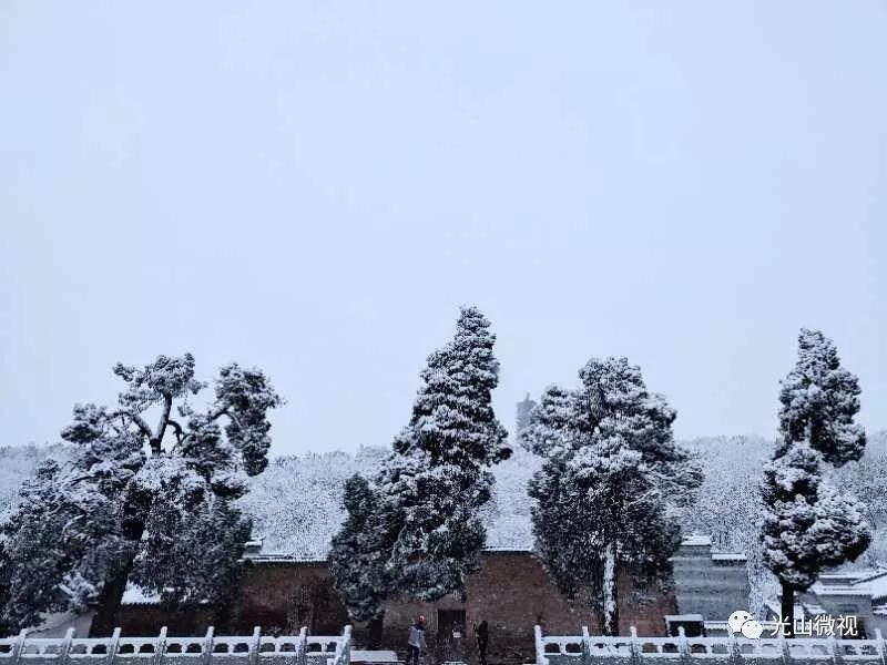 替你“打卡”！疫情中的光山雪景