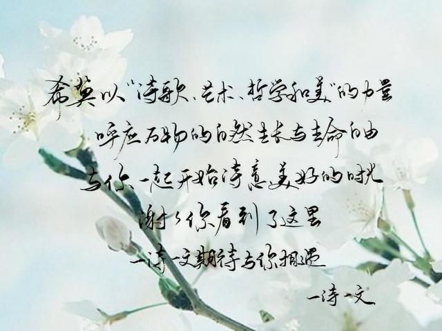 既可朝九晚五也能浪迹天涯的意思,愿我们朝九晚五又可以浪迹天涯