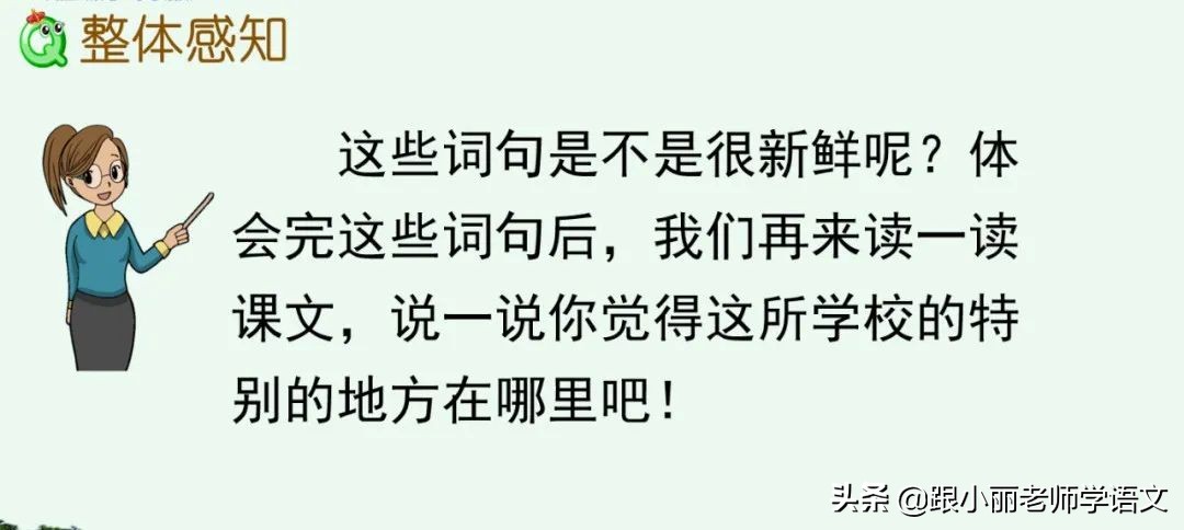 大青树下的小学重点知识点,大青树下的小学重点知识梳理