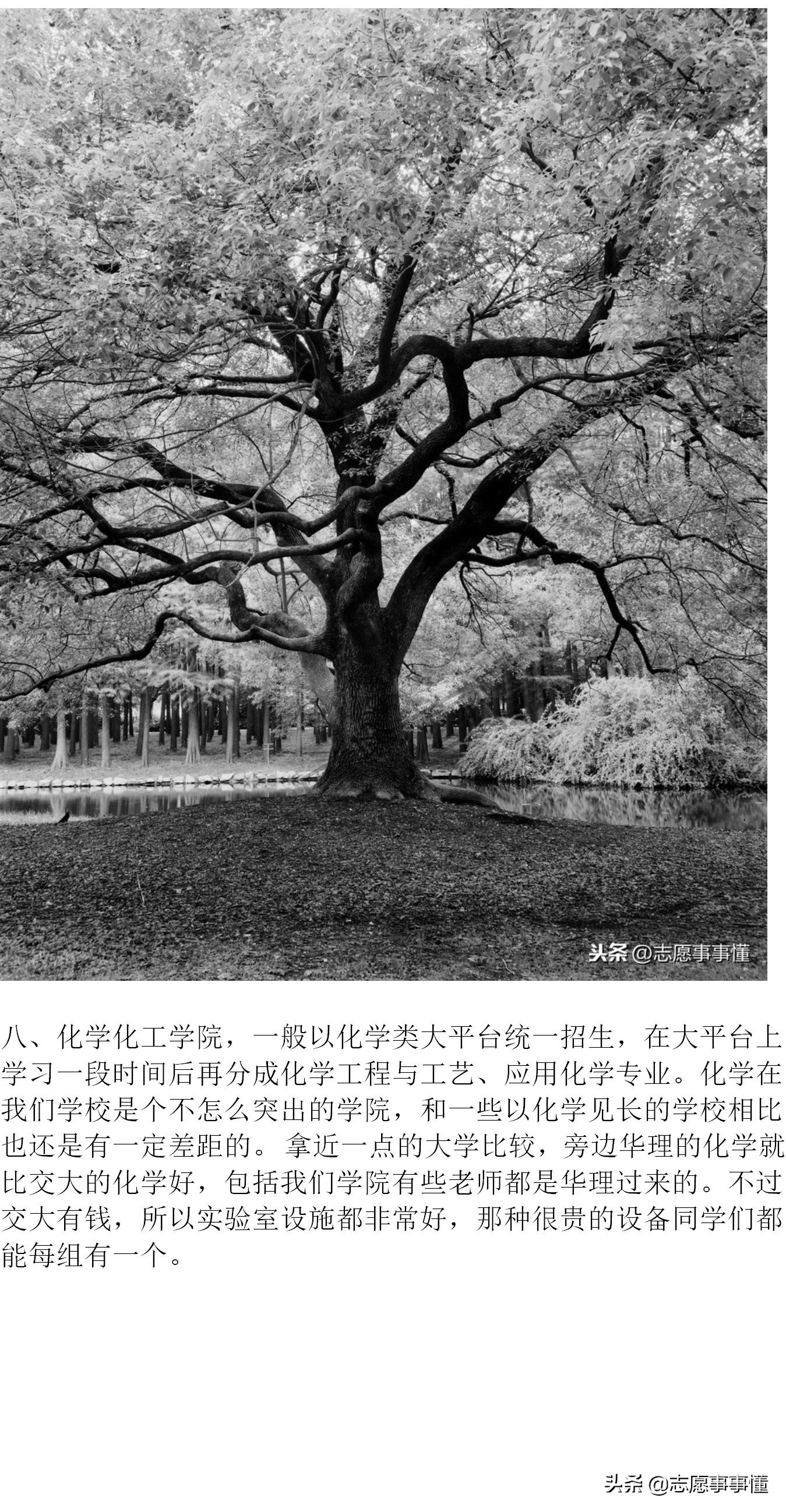 大学漫谈之西北工业大学,大学漫谈之河海大学