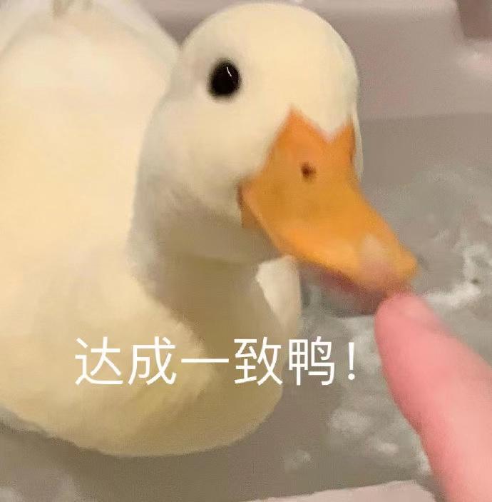 男生脸圆戴什么帽子,头大脸圆戴什么帽子
