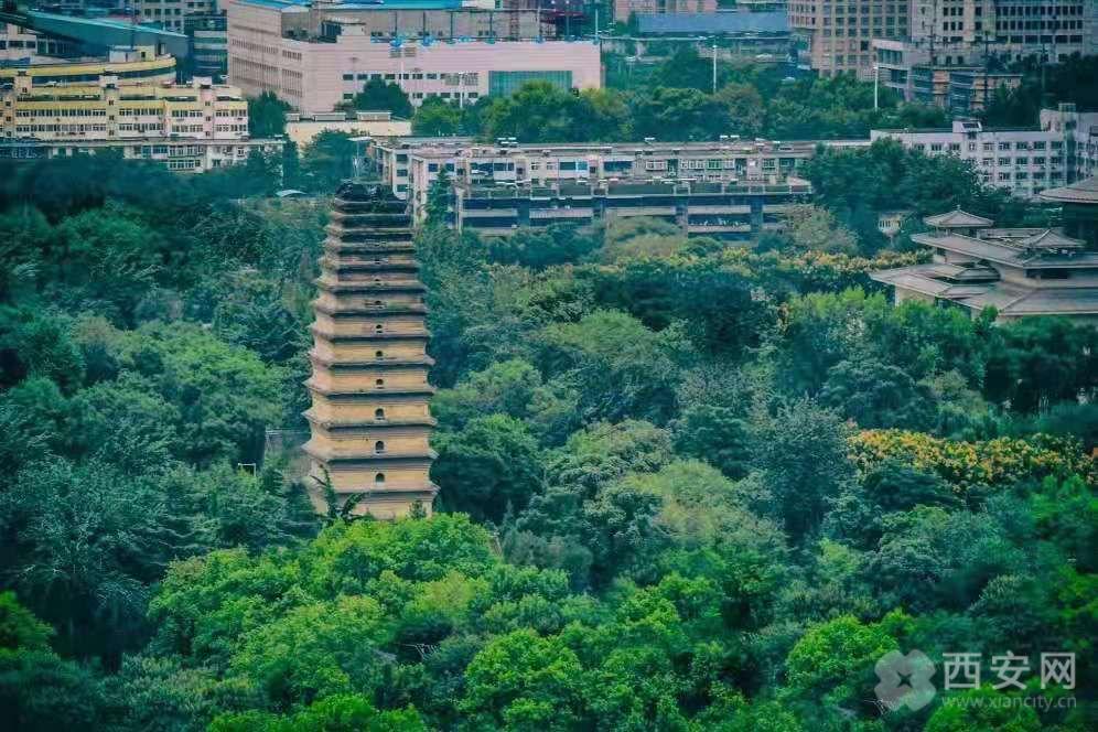 调研老旧小区改造和文明城市创建,高质量发展看新区