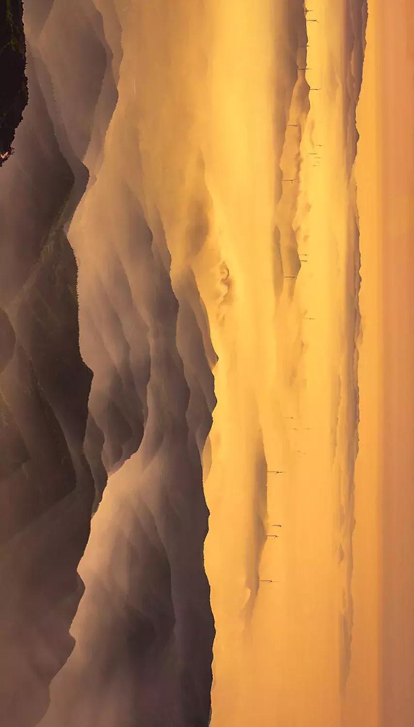 来迟了作品,来迟了歌曲完整版