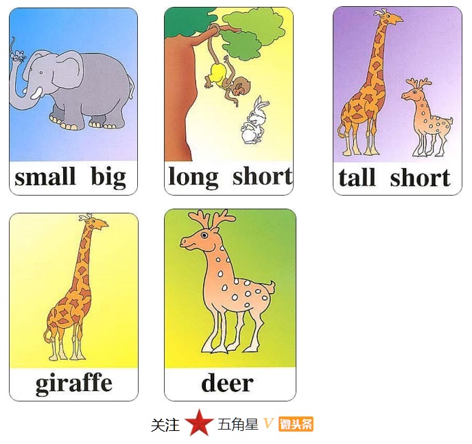 小学三年级英语单词识图卡,少儿英语看图片学单词工具篇
