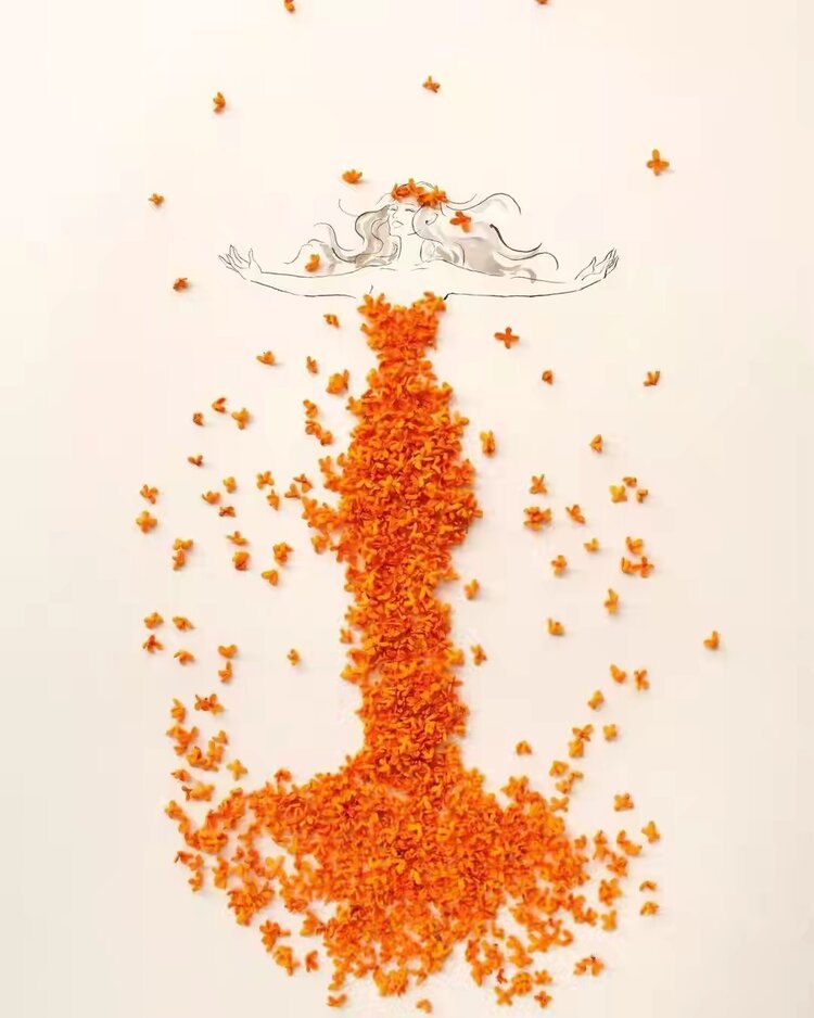 与花瓣裙私定终身的秘密（三）