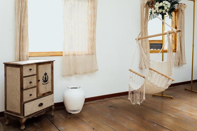 日本净化加湿器,可以净化空气的加湿器