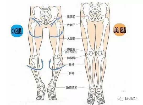 如何用瑜伽矫正x型腿,瑜伽式矫正o型腿最有效的动作