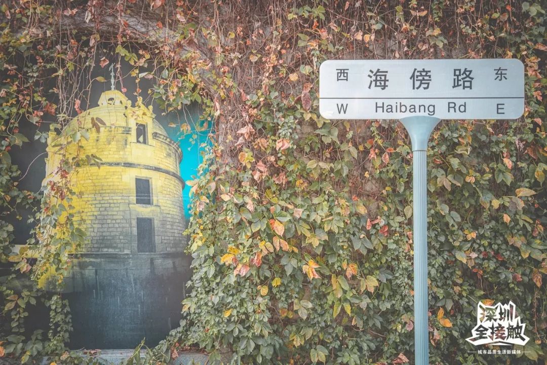 再见了，香港！深圳这条街也能免税买港货啦