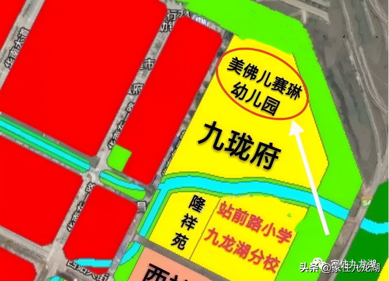 九龙湖有私立幼儿园,九龙湖什么幼儿园最好