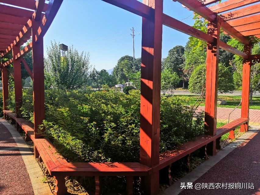 朱百强是谁,朱百强散文
