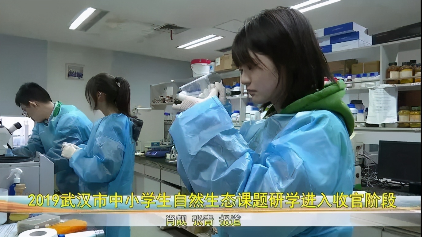 自然科学实验与创新课题,生态课题研究方案
