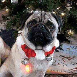 留言送口红｜兔兔酱的圣诞元旦实用送礼指南