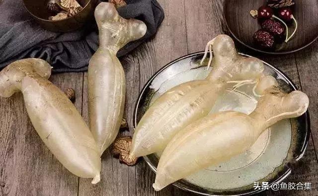 特级正品鱼胶花胶,蜘蛛花胶最好的是哪种