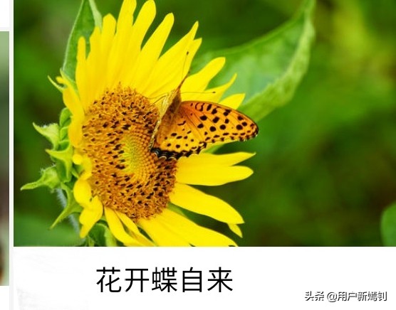 喜欢一个人得不到又放不下怎么办,喜欢她却得不到她