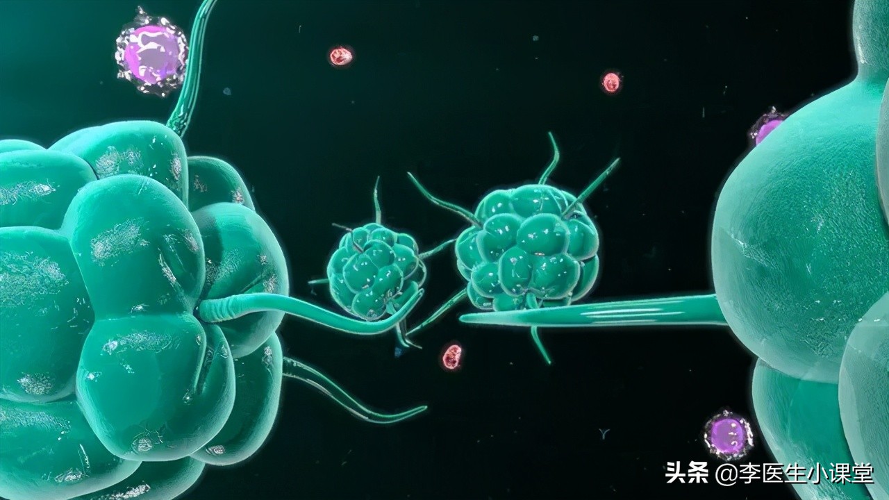 阿莫西林和头孢哪个抗菌更强,两大抗生素阿莫西林和头孢的区别