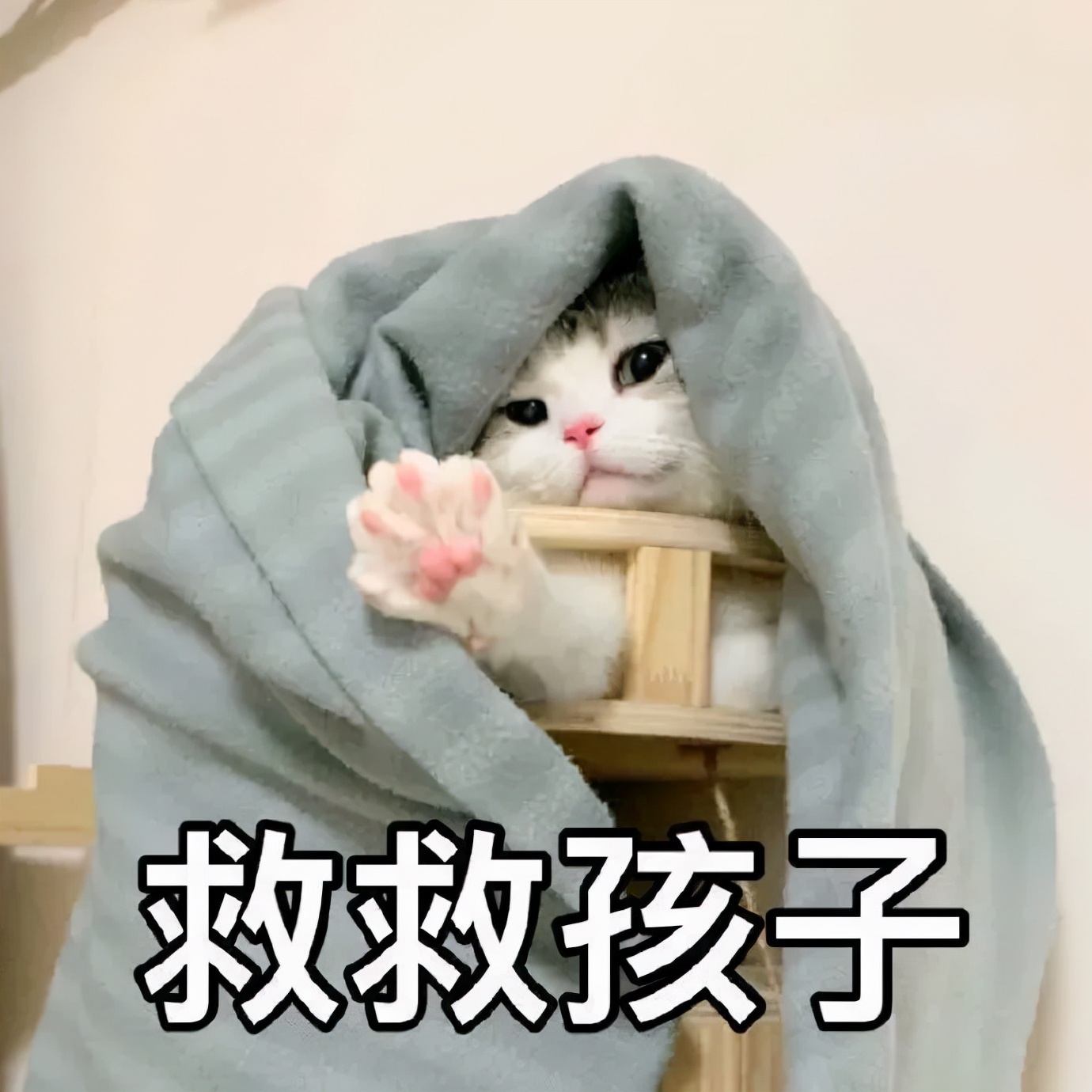 淘宝双11有什么坑,淘宝双11评论区