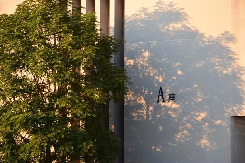 天津普通本科的大学,天津普通高校多少所大学