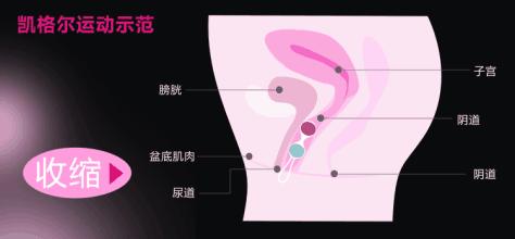 凯格尔训练需要每天练吗,凯格尔训练做着做着用不上劲了