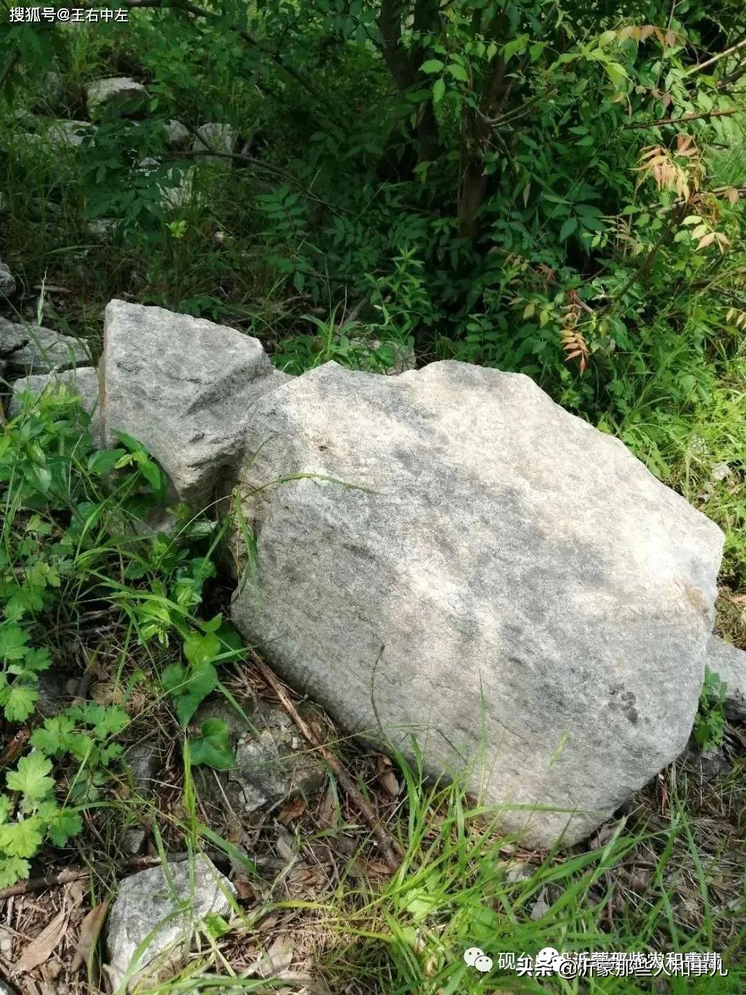 米芾临沂使君帖书法赏析,米芾临沂使君帖临写