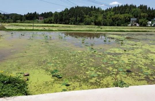 80后农民小伙养殖稀罕物,农村养殖什么稀奇古怪的东西赚钱