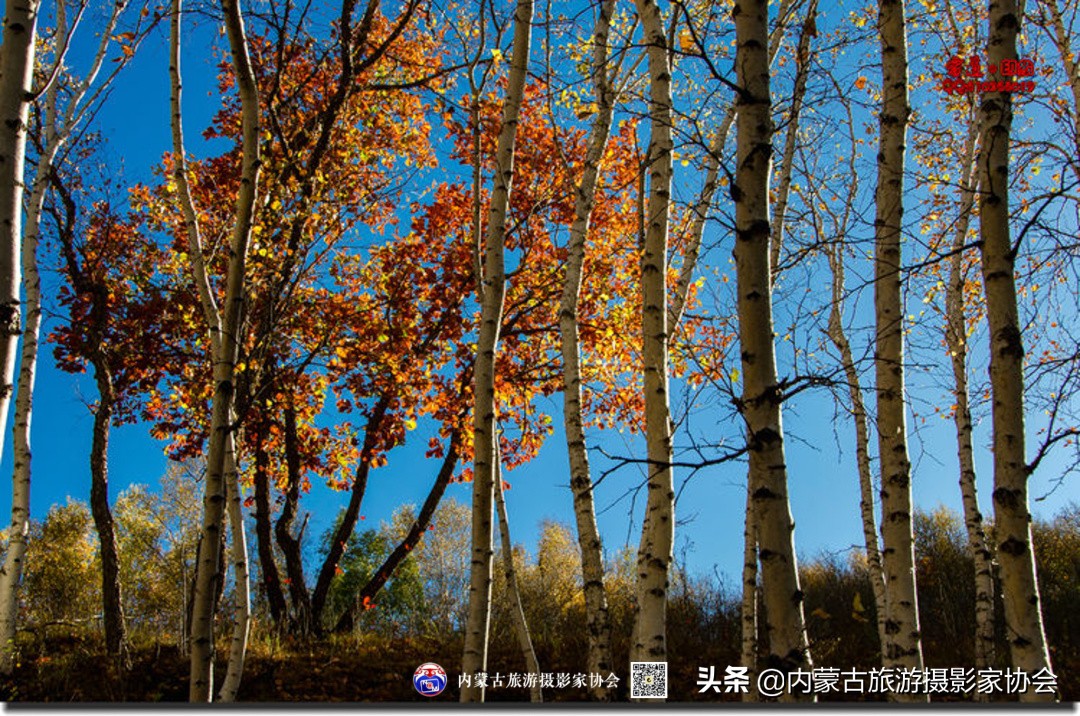 那山那水那味道,那山那水那份爱