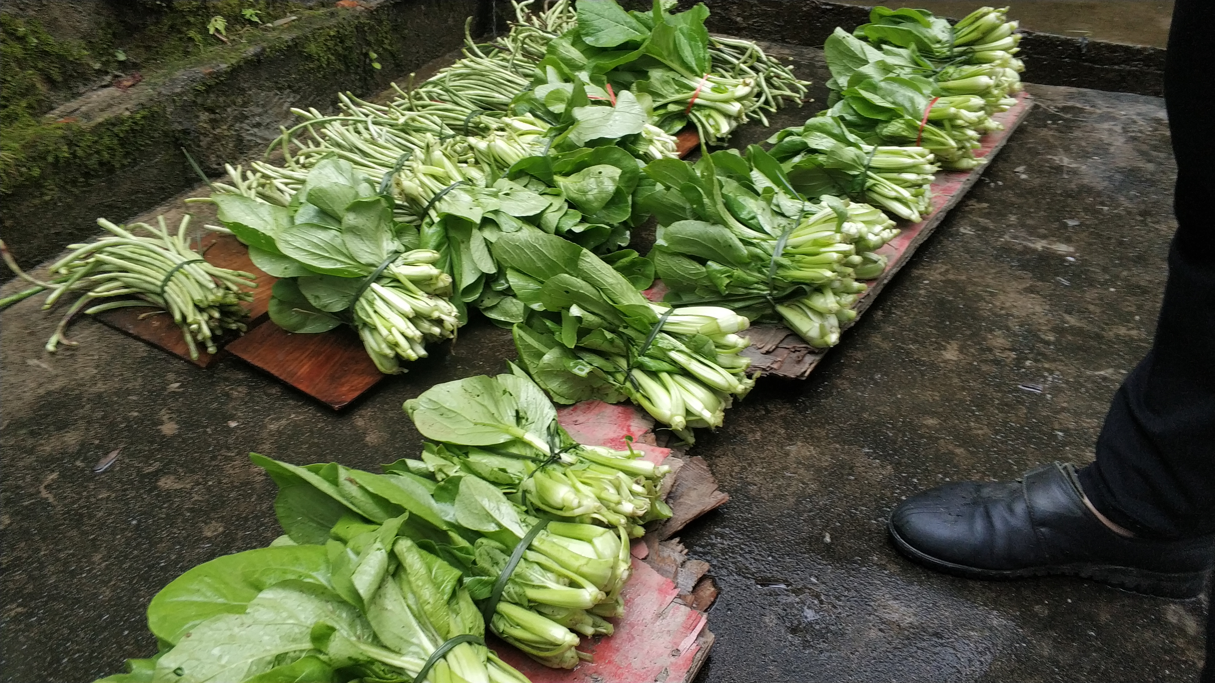 农村大妈的生意经，这样种菜卖一次收入接近100元供不应求