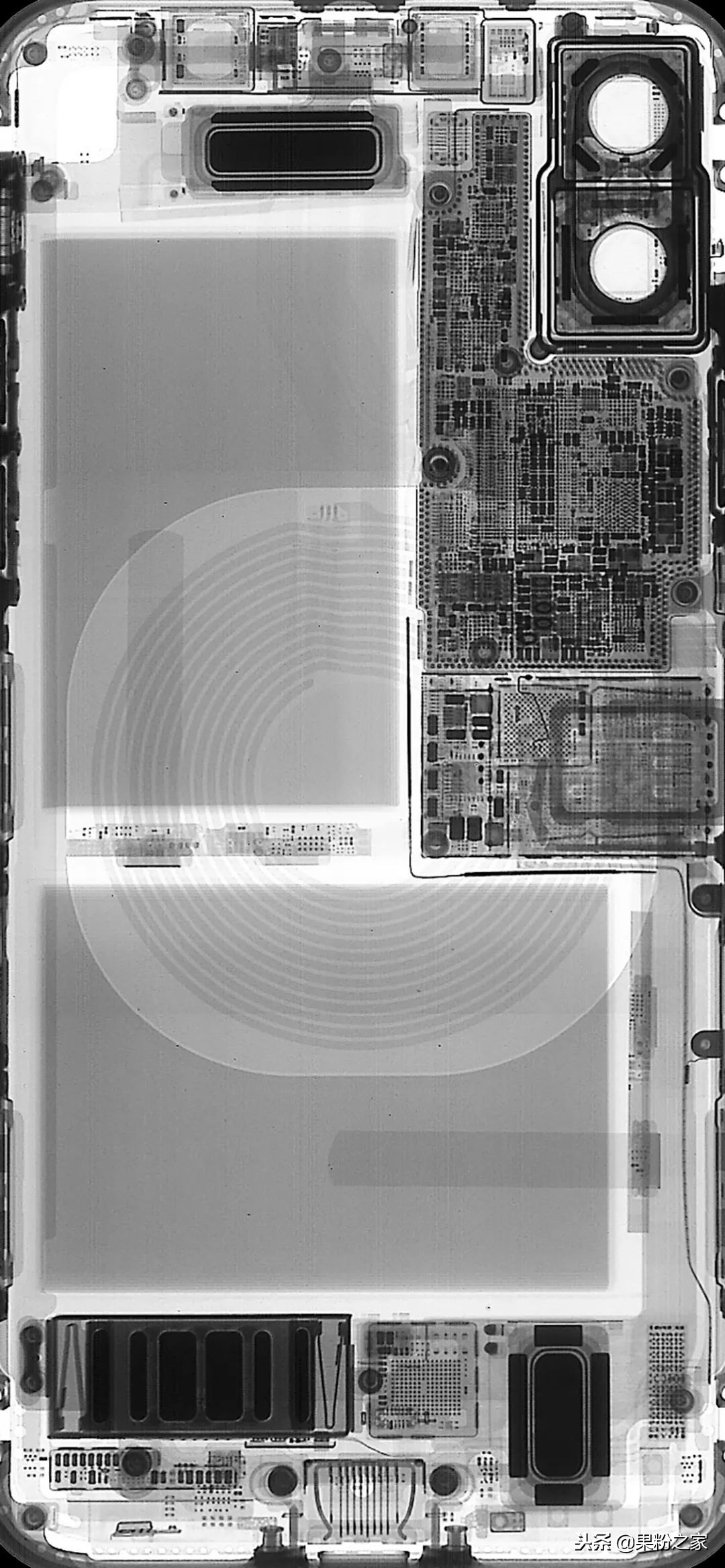 壁纸iphone13promax专用4k,最火壁纸iphone专用动态