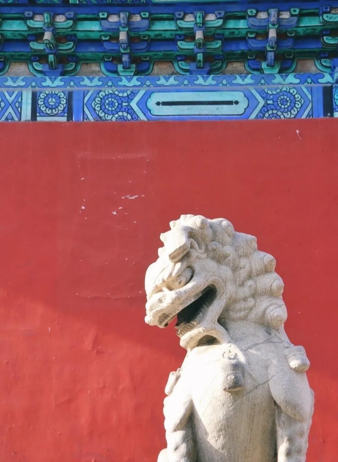 北京人少景美赏秋的公园,北京赏秋中山公园