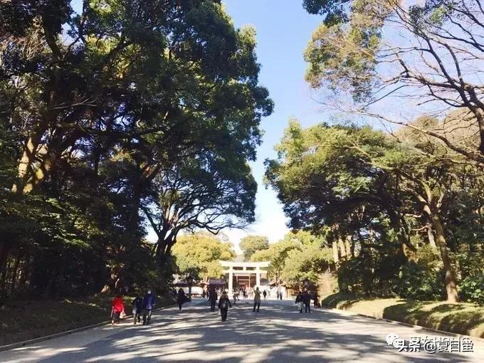 东京六本木地图,东京六本木街区