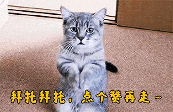 成语故事爱屋及乌感悟,成语故事爱屋及乌的故事