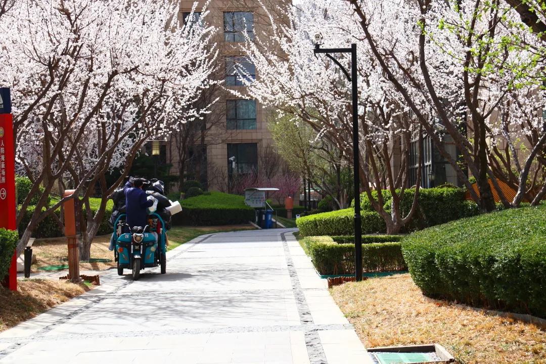 走在春天里简谱,歌曲走在春天里