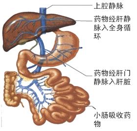 感冒直肠给药有危害吗,中药直肠给药的危害