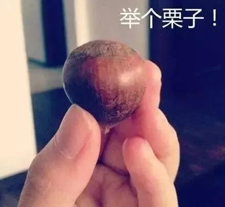 针灸16集视频,针灸第十六集