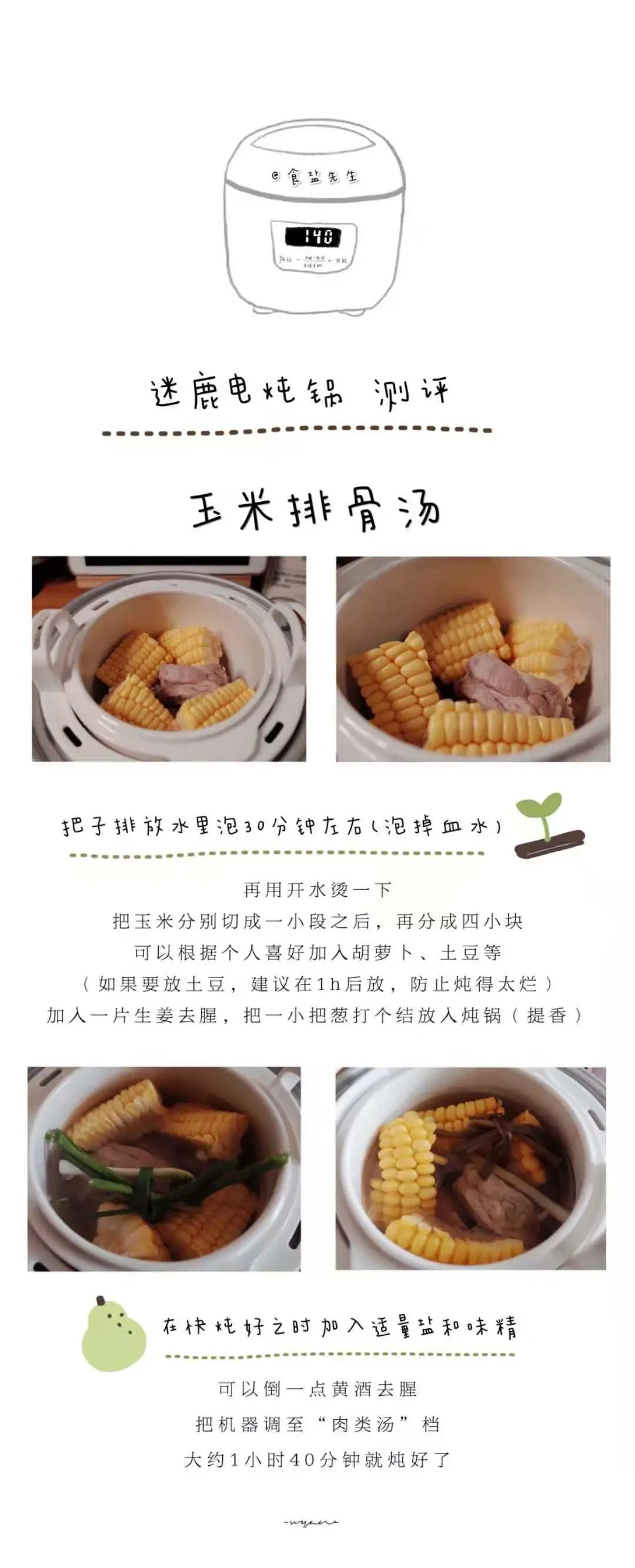 高端健康养生电锅,电炖锅养生