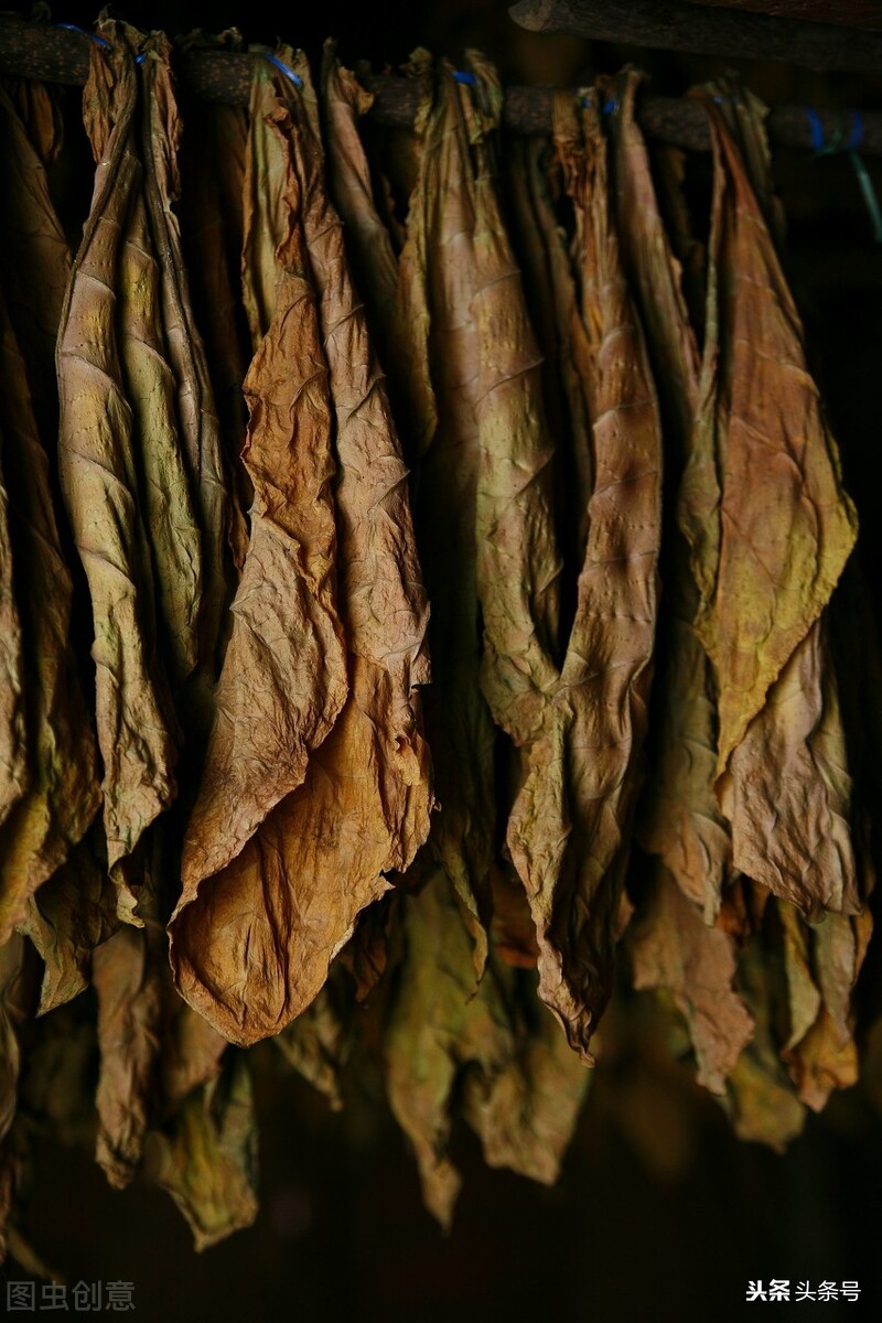 厌倦了城市的生活回农村做老板娘,厌倦了城里的生活回到我的家乡