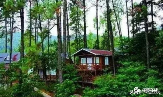 康养是指什么,康养是健康管理吗