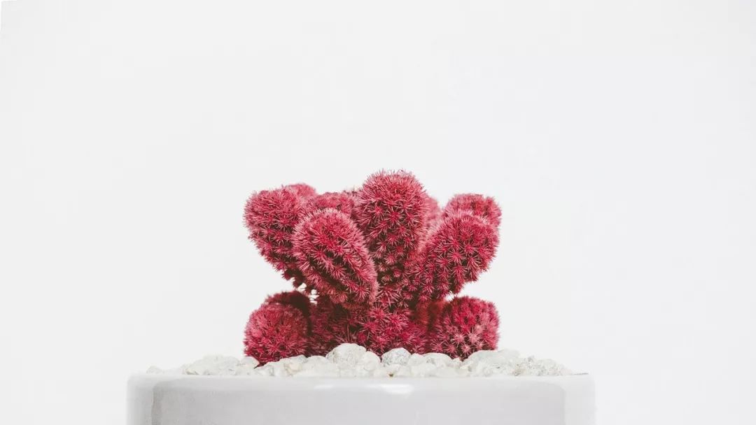 广州心理咨询：焦虑症怎么治疗？