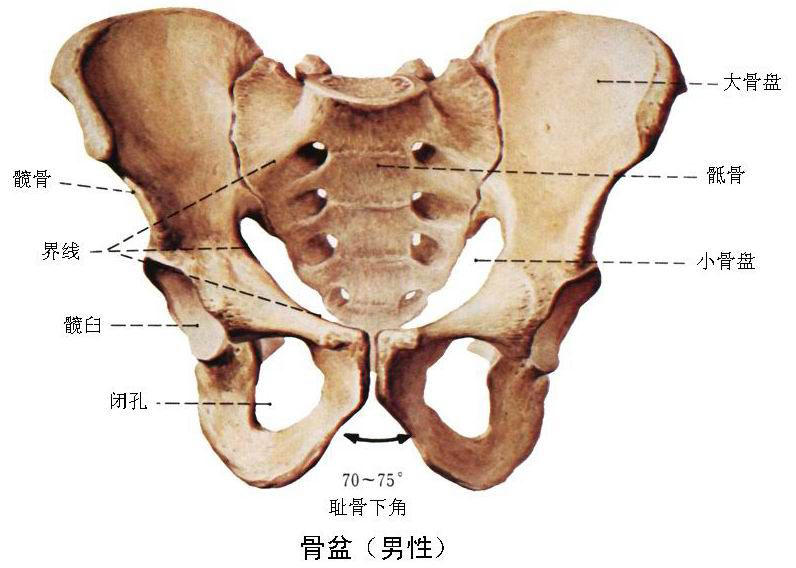 腹中胎儿长出肿瘤，孕妇忍着剧痛，给胎儿打麻药做手术
