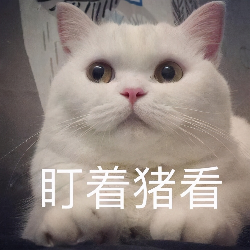 宠物猫眼睛有泪痕怎么办,宠物猫眼睛变黄是怎么回事