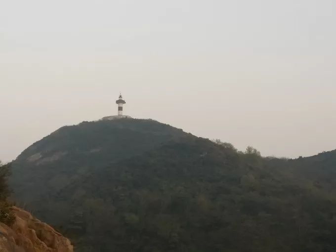 上海去桃花岛的自驾轮渡时间表,上海开车去舟山桃花岛怎么去