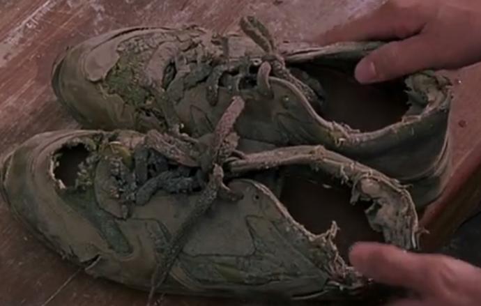 一双鞋子的故事作文,一双鞋子的故事500字