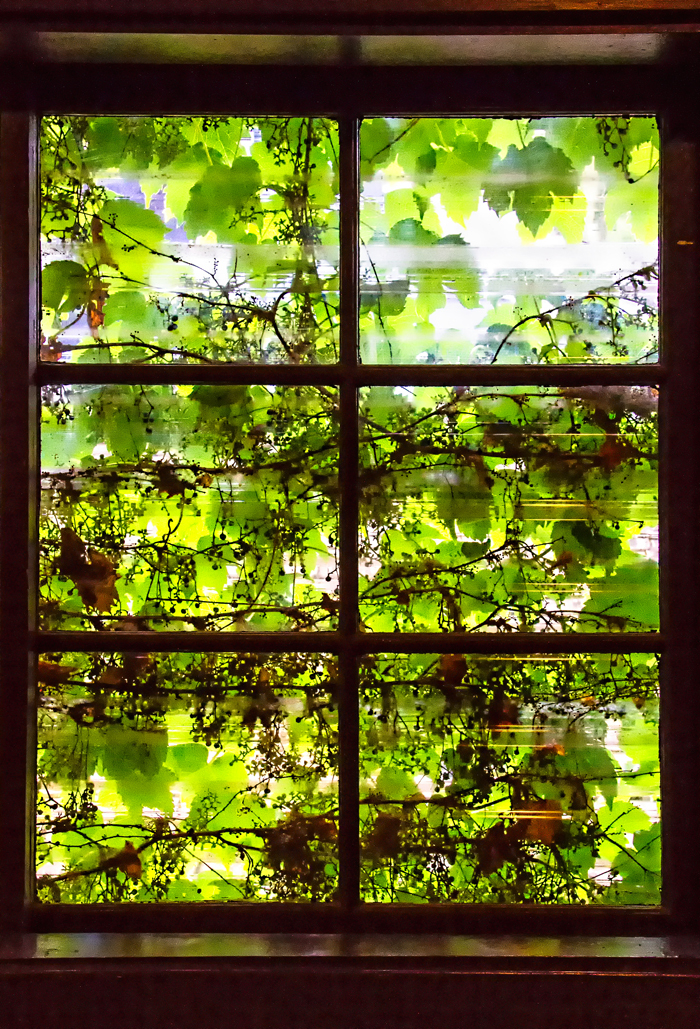 绿山墙的安妮中安妮的介绍,绿山墙的安妮内容分析